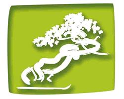 Matsugawa Bonsai-Club, Mertzwiller - Horaires d'ouverture