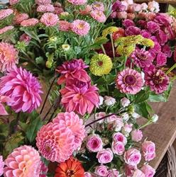Merci les fleurs - Fleurs de saison et Décorations, Concarneau - Horaires d'ouverture