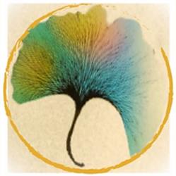 Lucie CAPLA - cabinet de psychothérapie, Vienne - Horaires d'ouverture