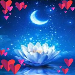 LES SECRETS DU LOTUS BLEU, Chevanceaux - Horaires d'ouverture