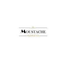 MOUSTACHE PROPRIÉTÉS- L'Immobilier d'Exception, Vaux-sur-Mer - Horaires d'ouverture