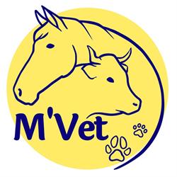 Cabinet Vétérinaire M'vet, Stenay - Horaires d'ouverture