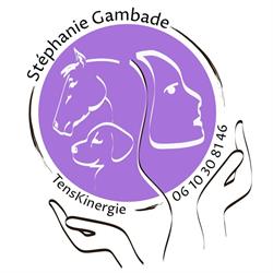 Stephanie GAMBADE Praticienne Animalier Cavignac Chevaux chiens chats etc, - Horaires d'ouverture
