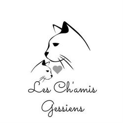 Association Les Ch'amis Gessiens, Challex - Horaires d'ouverture