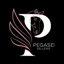 Pégase&co Sellerie, Caudan - Horaires d'ouverture