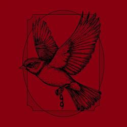 Bluebird, Chambéry - Horaires d'ouverture