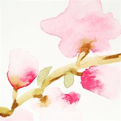 Studio de yoga - Fleur d'alchimie, Millau - Horaires d'ouverture