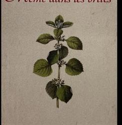 Mémé dans les orties, Artisan fleuriste, Hermanville-sur-Mer - Horaires d'ouverture