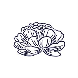 Les fleurs de Manon, Atelier floral, Penvénan - Horaires d'ouverture