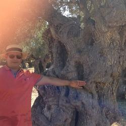 Provence Souvenirs, Maussane-les-Alpilles - Horaires d'ouverture