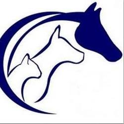CLINIQUE VETERINAIRE DE BAILLARGUES, Baillargues - Horaires d'ouverture