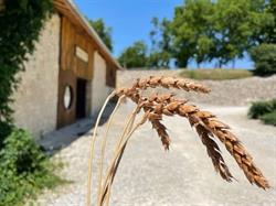 Ferme de la vallée, Rarécourt - Horaires d'ouverture