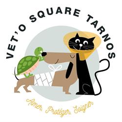 Vétérinaire VET'O SQUARE. Dr de Almeida Lanchantin, Tarnos - Horaires d'ouverture