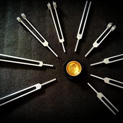 L'Essence Vibratoire, Fougères - Horaires d'ouverture
