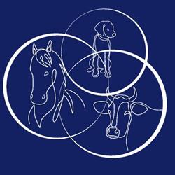 Laurie et David - Ostéopathes pour animaux (LDOA), Bessé-sur-Braye - Horaires d'ouverture