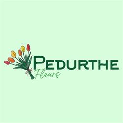 Pedurthe Lauga Joëlle, Nousty - Horaires d'ouverture