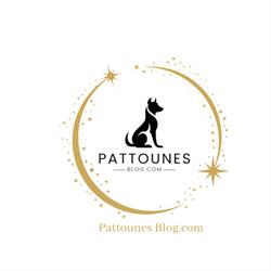 pattounesblog.com, Saint-Symphorien-sous-Chomérac - Horaires d'ouverture
