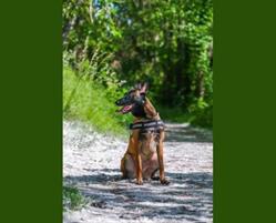 Format'eure Canin, Les Andelys - Horaires d'ouverture