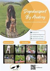 Dogeducsport by Audrey, Saint-Omer - Horaires d'ouverture