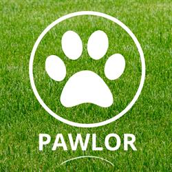 pawlor, Lyon - Horaires d'ouverture