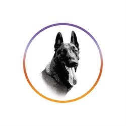Dog Mood, Toulon - Horaires d'ouverture