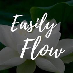 EASILY FLOW - LYON, Lyon - Horaires d'ouverture