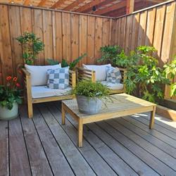 Mbn Terrasse Bois, Bordeaux - Horaires d'ouverture