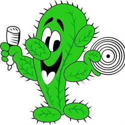 Radio Cactus, Semur-en-Brionnais - Horaires d'ouverture