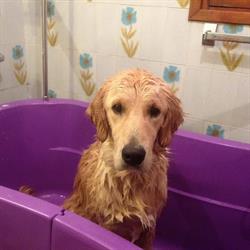 Pet Matters, Antibes - Horaires d'ouverture