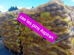 Grossiste en pommes de terre 34, Aspiran - Horaires d'ouverture