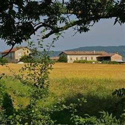 Domaine des Terres Vivantes chez Marie et Ludovic Gros, Blacé - Horaires d'ouverture