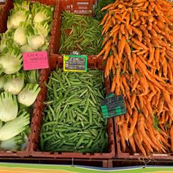 GAEC Le Potager Coudert, Le Vigen - Horaires d'ouverture