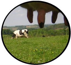 Ferme Peyrecor, Escout - Horaires d'ouverture