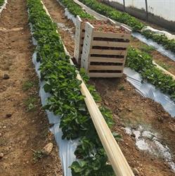Ferme producteur vergier, Grillon - Horaires d'ouverture