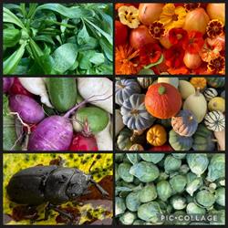 Le Jardin de la Manne, Madecourt - Horaires d'ouverture