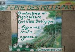 La Ferme des Mille Pas, Terrebasse - Horaires d'ouverture