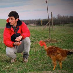 Les Cocottes du Touch, Plaisance-du-Touch - Horaires d'ouverture