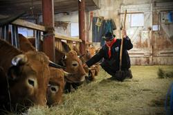 gite à la ferme à la bonne fourche, Les Estables - Horaires d'ouverture