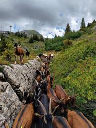 Chèvrerie des ardoisières, Morzine - Horaires d'ouverture