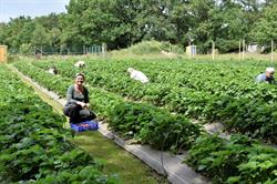 Au Jardin de Marion, Saffré - Horaires d'ouverture