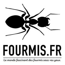 Boutique Fourmis.fr, Froges - Horaires d'ouverture