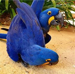 Planete animale, Salon-de-Provence - Horaires d'ouverture