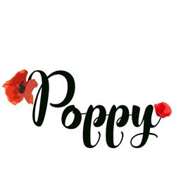 Poppy Brocante Urbaine, Troyes - Horaires d'ouverture