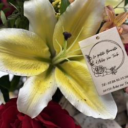 La petite fleuriste d Arles sur tech, Arles-sur-Tech - Horaires d'ouverture