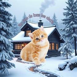 Au Nom De Tous Les Chats, Le Temple - Horaires d'ouverture