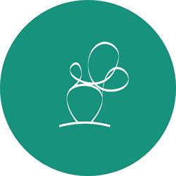 Cactus Association, Marseille - Horaires d'ouverture