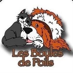 Association Les Boules de Poils, Bonny-sur-Loire - Horaires d'ouverture