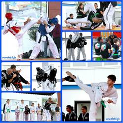 Taekwondo Hapkido Tarbes, - Horaires d'ouverture