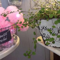 La Boutique de Lola, La Teste-de-Buch - Horaires d'ouverture