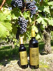 Weinkellerei Lassalle et fils Chateau Bellevue, Valeyrac - Horaires d'ouverture